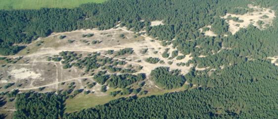 Schutzgebiete - Natura 2000-Gebiete - Binnendüne bei Scharlibbe (FFH0015)