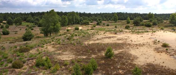 Schutzgebiete - Natura 2000-Gebiete - Vogelschutzgebiet Annaburger